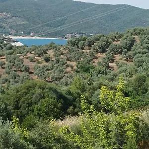 https://art-hotel-panorama.hotelschalkidiki.net